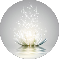 Reviewer Image
